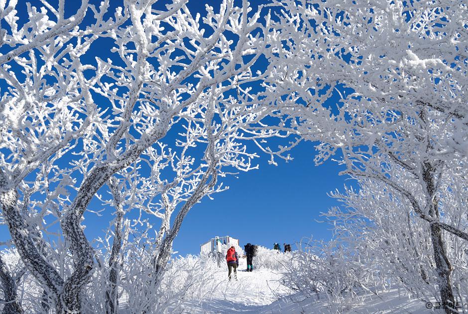 홍천개방산 설경