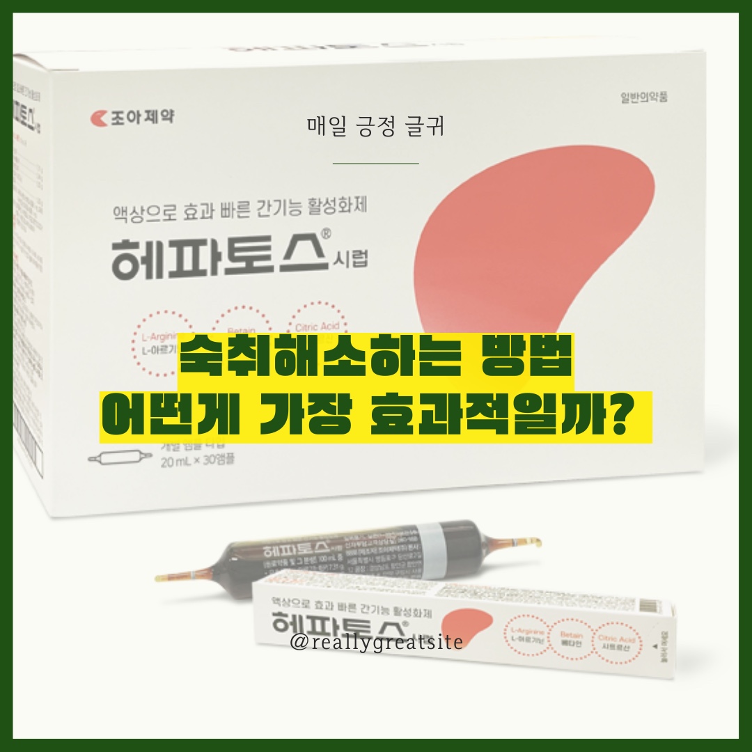 숙취해소법 해포스 가레오 히말라야 효능