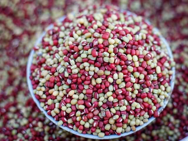 동지(冬至)의 의미, 24절기 중 하나, 풍습 알아보기