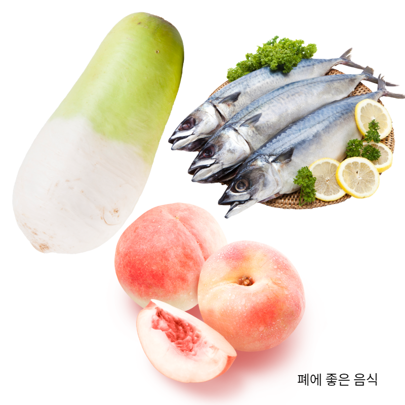 폐에 좋은음식 무 복숭아 고등어