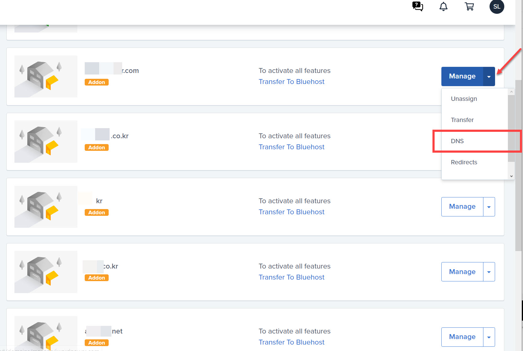 블루호스트 도메인 DNS 레코드 추가하기