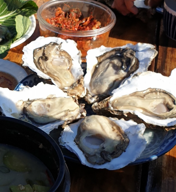 6시내고향 섬진강 강굴 벚굴 가격 및 구매방법 전남 광양 망덕수산