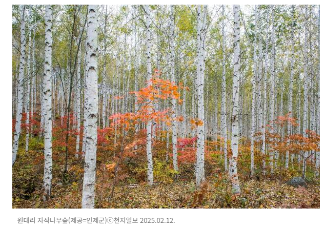 2월 가족 여행
