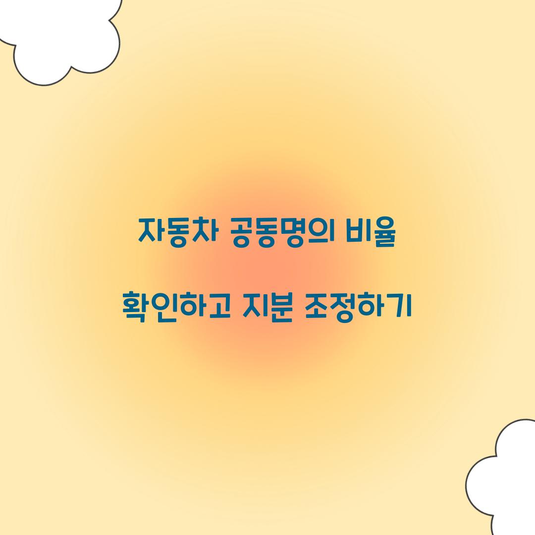 자동차 공동명의 비율