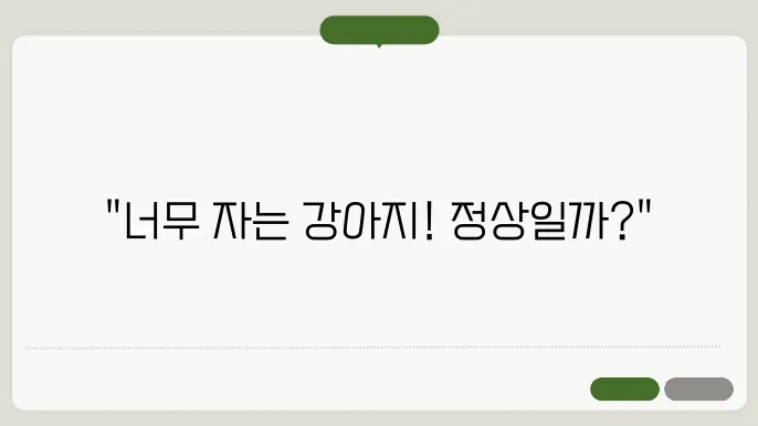 강아지 수면시간 평균 비교 우리 강아지 많이 자는 걸까?