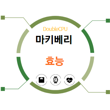 마키베리 효능