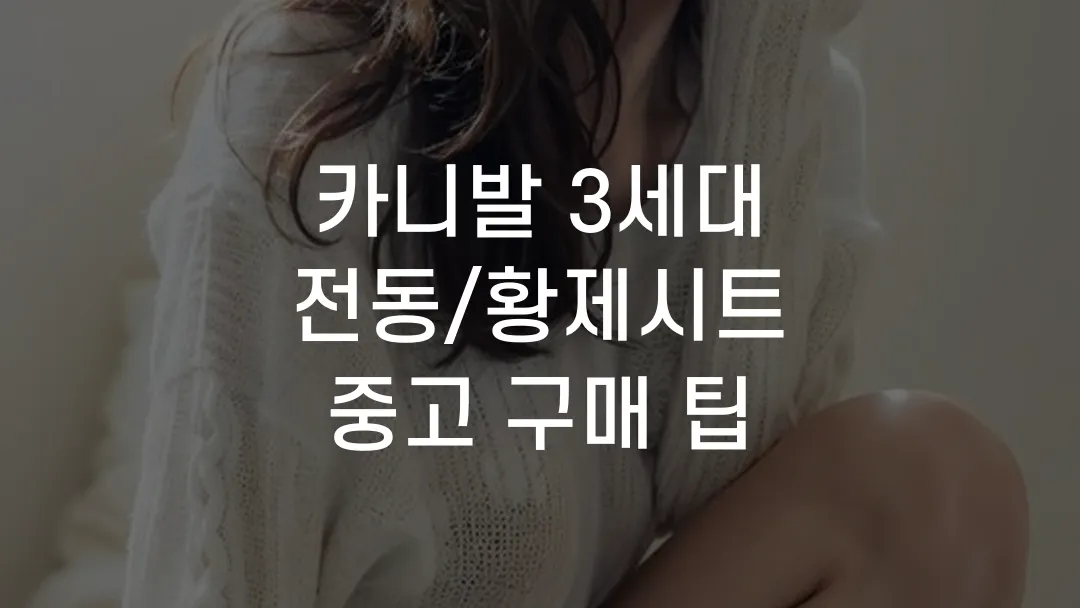 카니발 3세대 전동/황제시트 중고 구매 팁