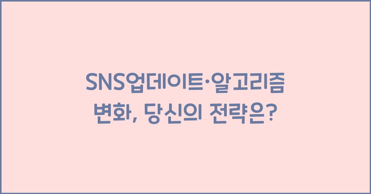 SNS업데이트·알고리즘변화