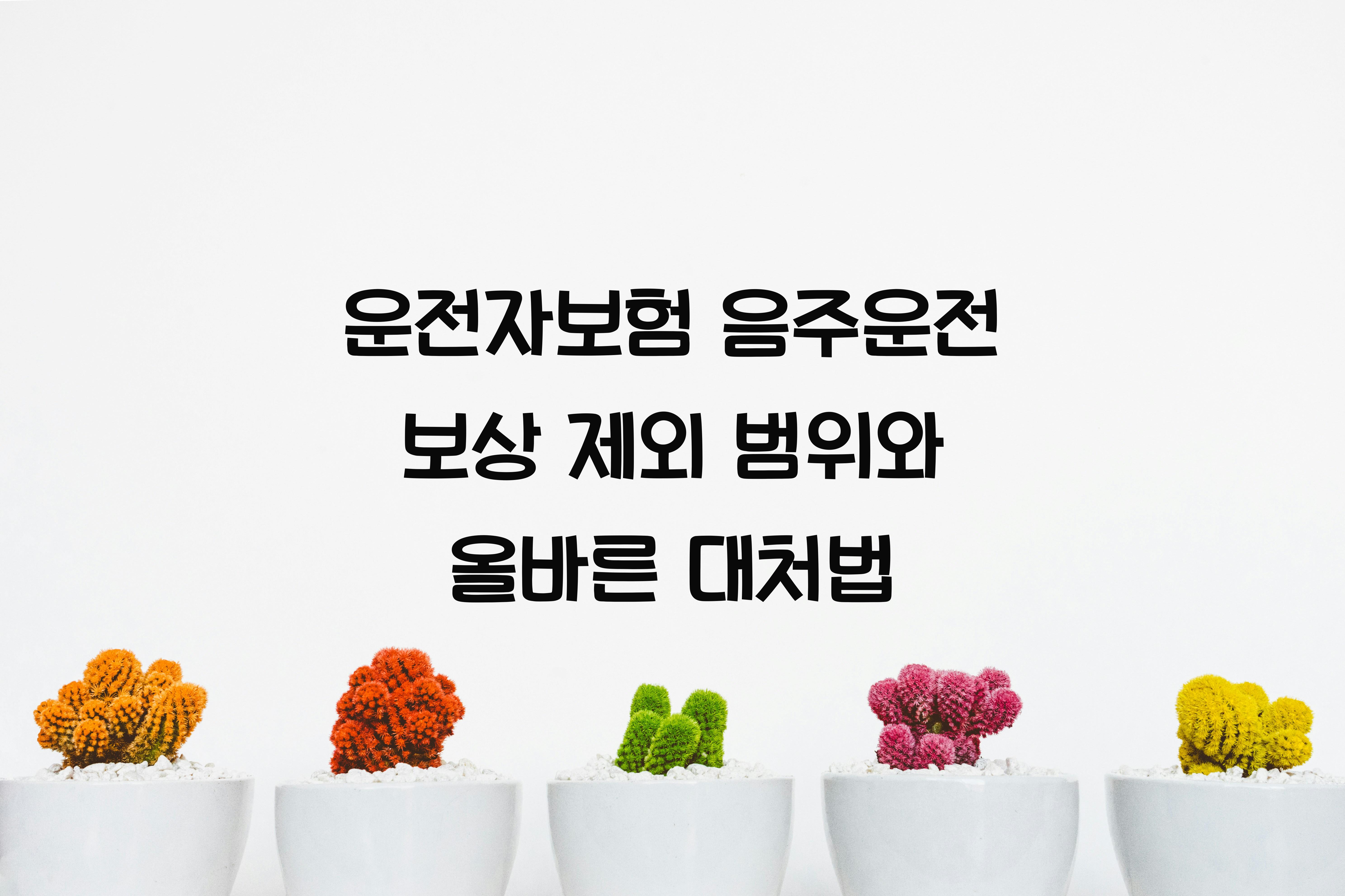 운전자보험 음주운전 보상 제외 범위
