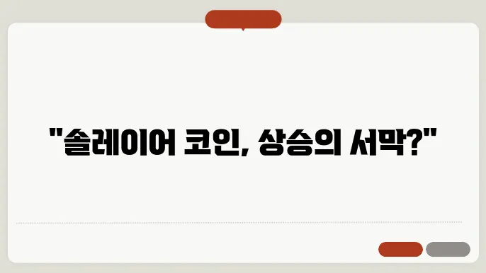 솔레이어 코인 경쟁력 분석