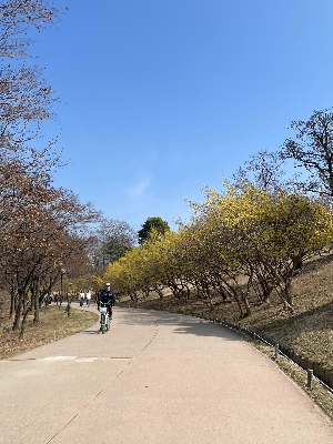 공원 산책이 주는 마음 정리 효과