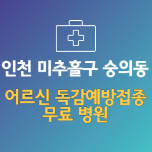 인천 미추홀구 숭의동 노인 독감예방접종 무료 병원 (인플루엔자 무료 접종 대상 날짜)