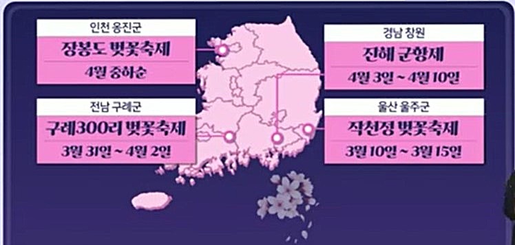 2023년 전국 벚꽃 축제 일정
