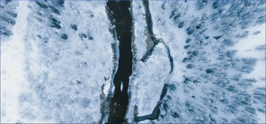 갑자일주 X 무진일주 궁합 완벽 정리