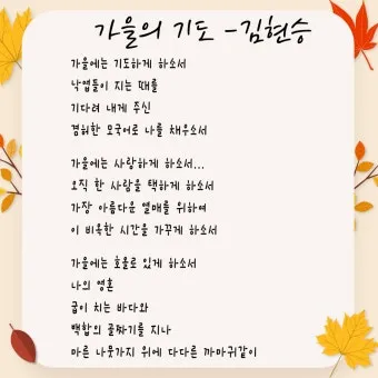 가을 시 모음 5편 추천 선별_7