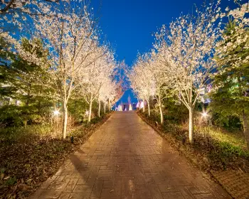 퍼스트가든 별빛축제_1