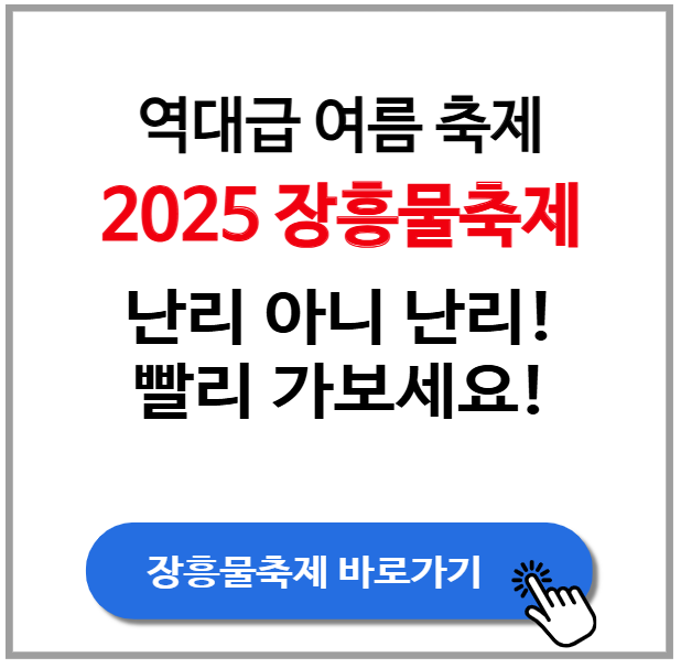 역대급 여름 축제 2025 장흥물축제