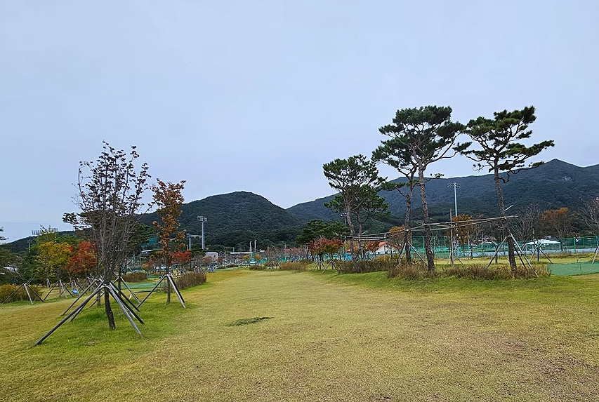 전라북도 고창 스포츠타운 파크골프장