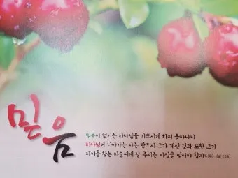 위로의 성경 말씀 치유의 말씀 50선_22