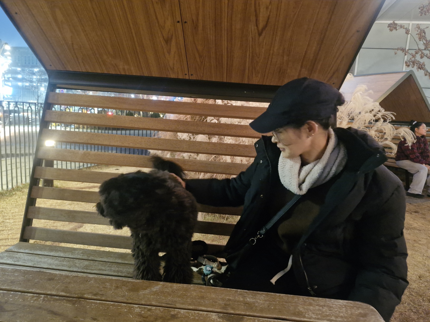 10살 이상 노령견 눈 건강 화식 식단 후기