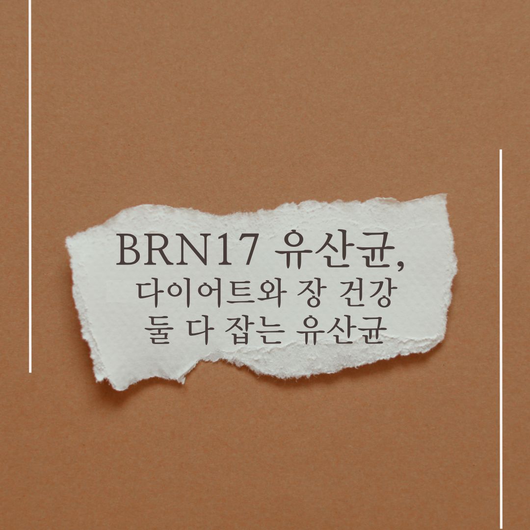 BRN17 유산균, 다이어트와 장 건강 둘 다 잡는 유산균