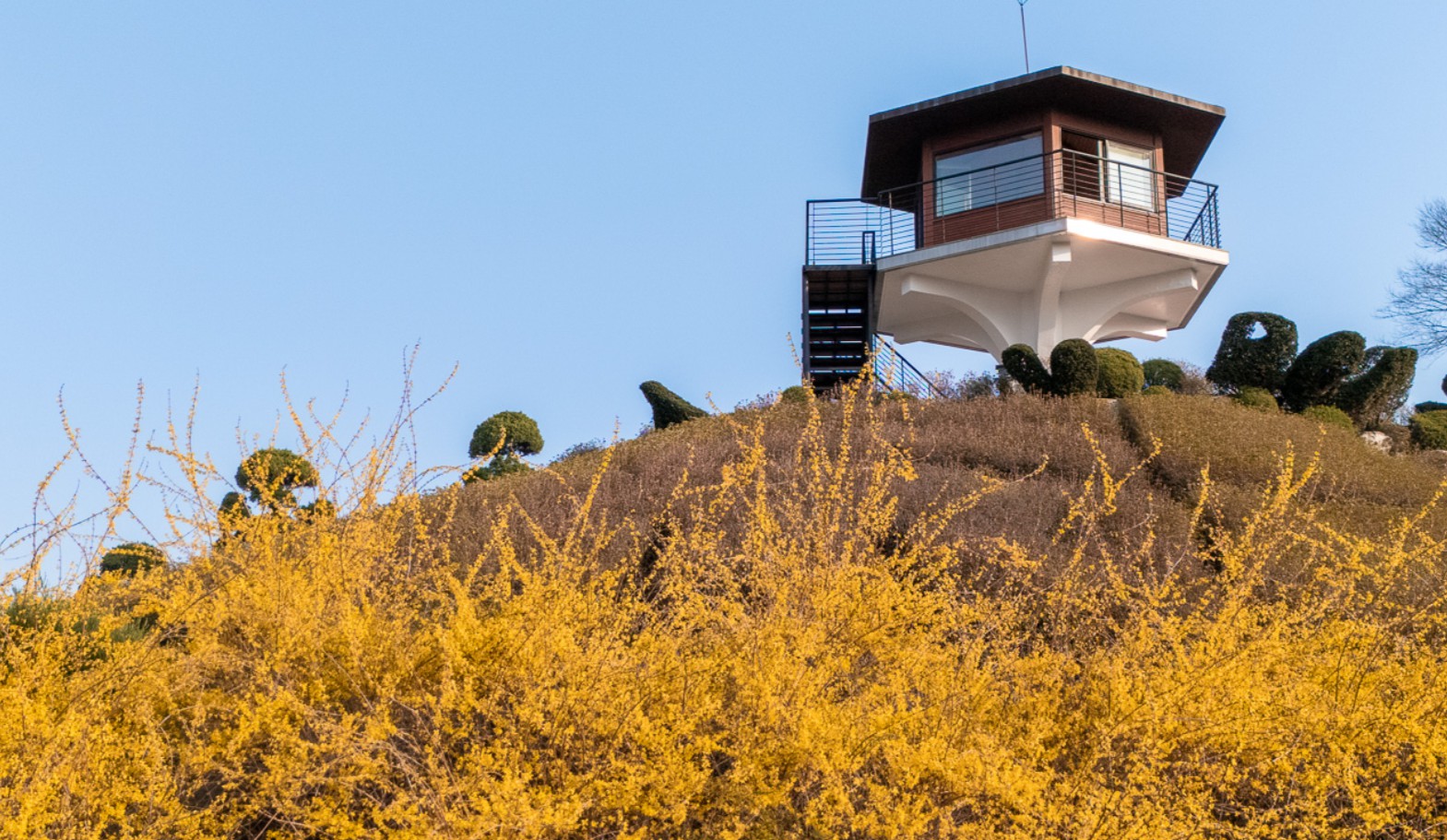 베어트리파크 봄꽃 축제