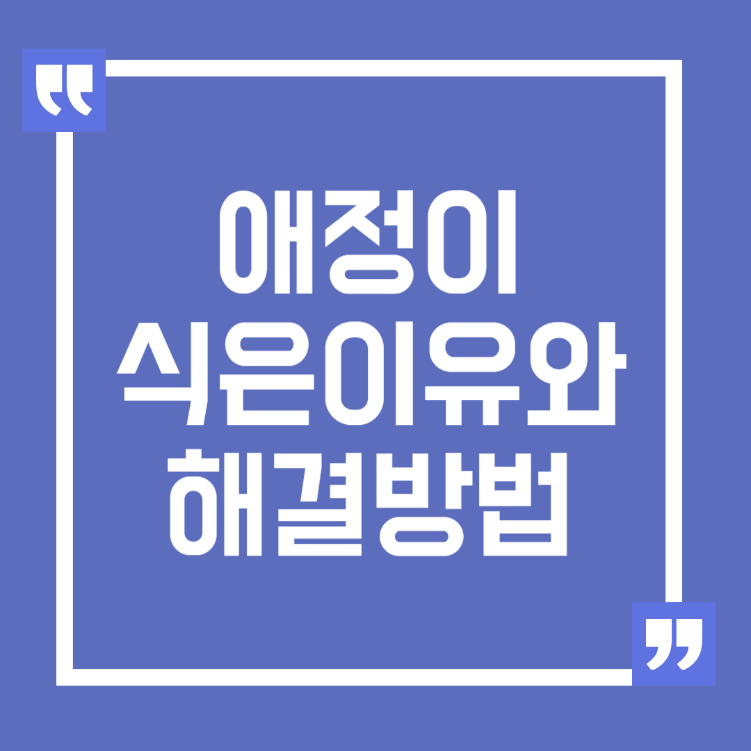 남자친구 애정이 식은 이유와 해결 방법