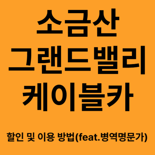 소금산 그랜드밸리 케이블카