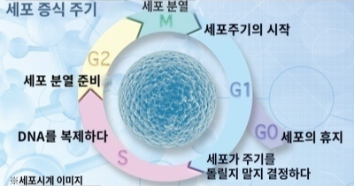 암 치료가 어려운 이유