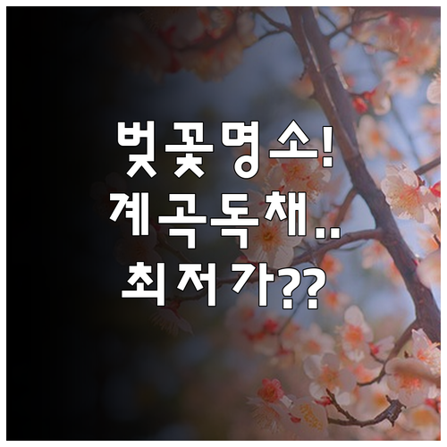 하동 십리벚꽃길 인접 숙소와 계곡 옆..