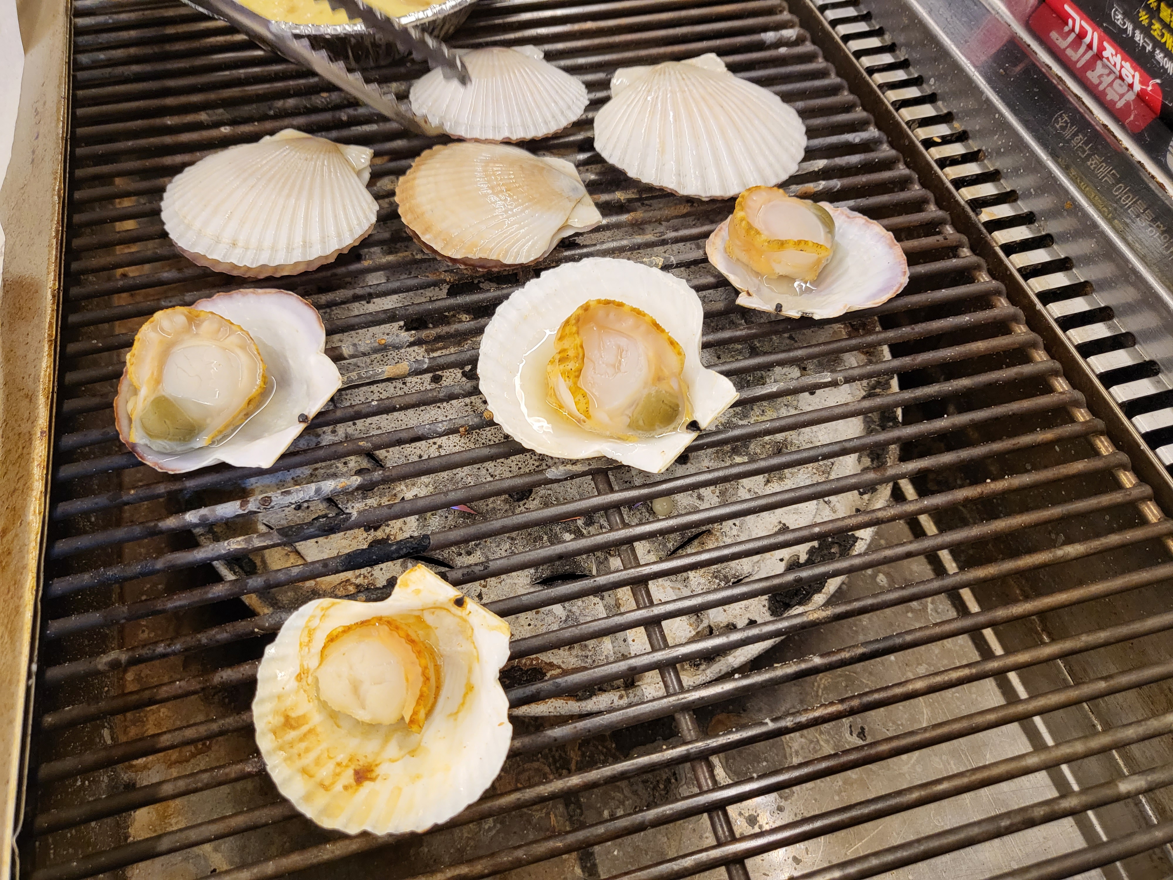 클램씨 - 가리비