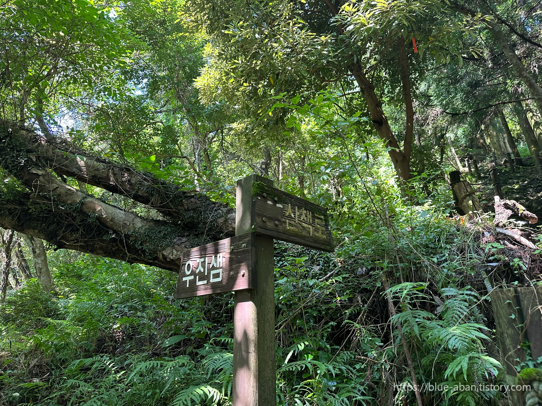 우진제비 오름 산책로
