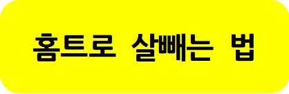 홈트로 살빼는 법