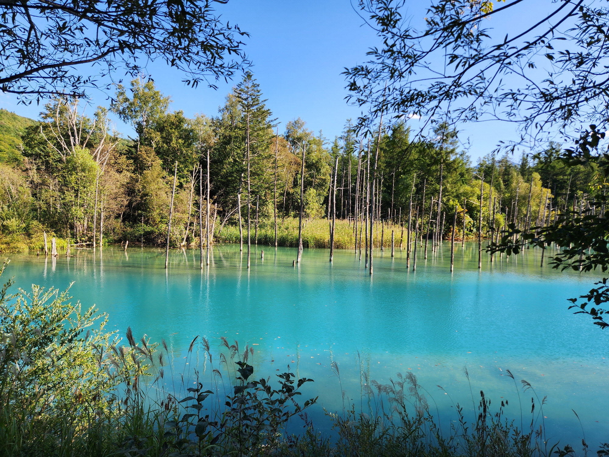 흰수염폭포 - 10