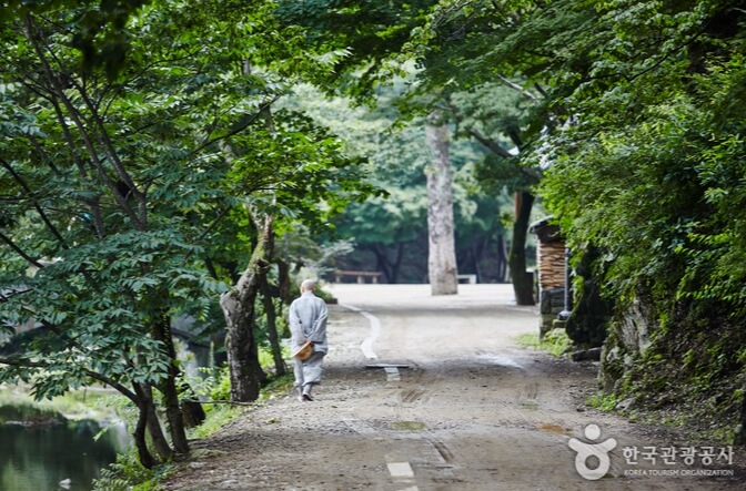 공주 가볼만한곳 베스트 10