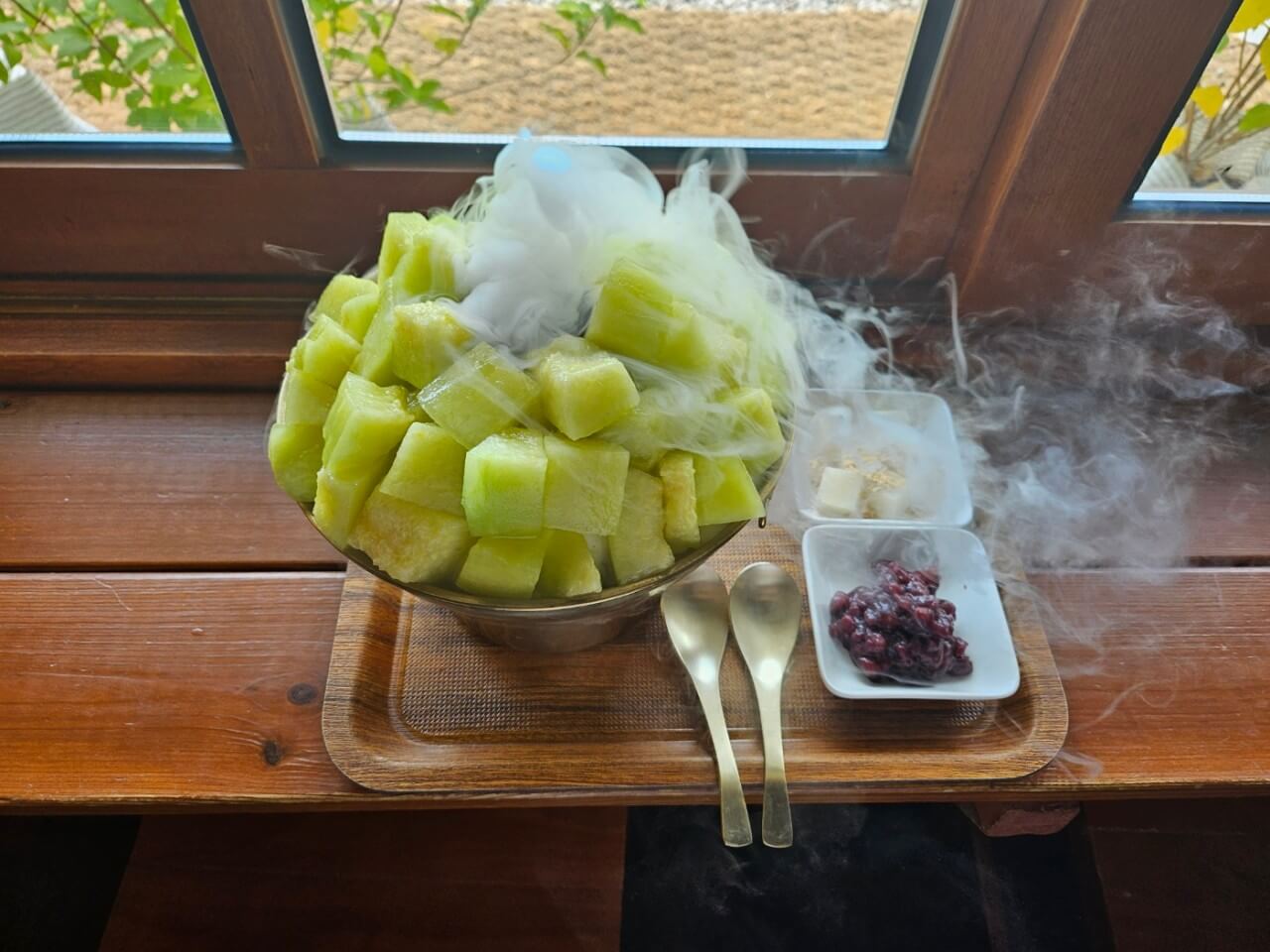 오늘N 대한민국 보물정원 강원 춘천 유기농 카페 오늘N 2503회