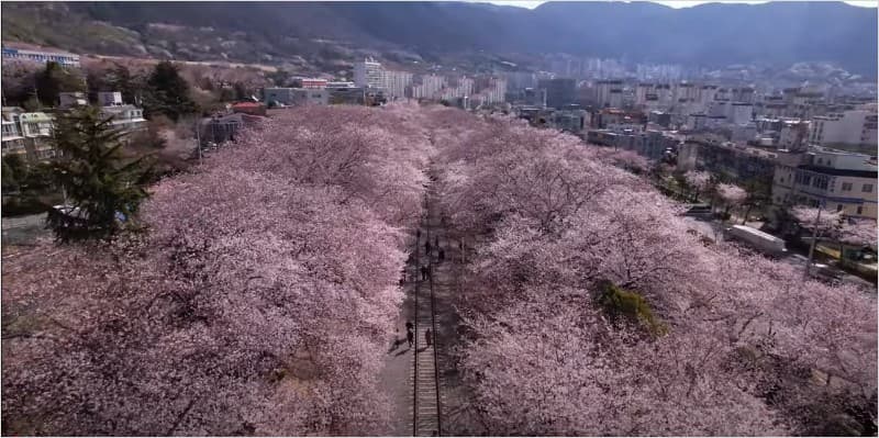 경화역2