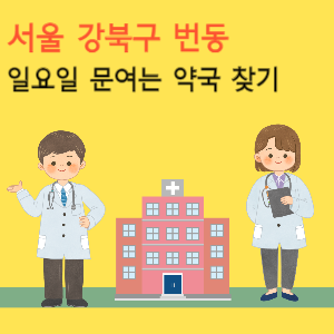 서울 강북구 번동 일요일 문여는 약국 찾기