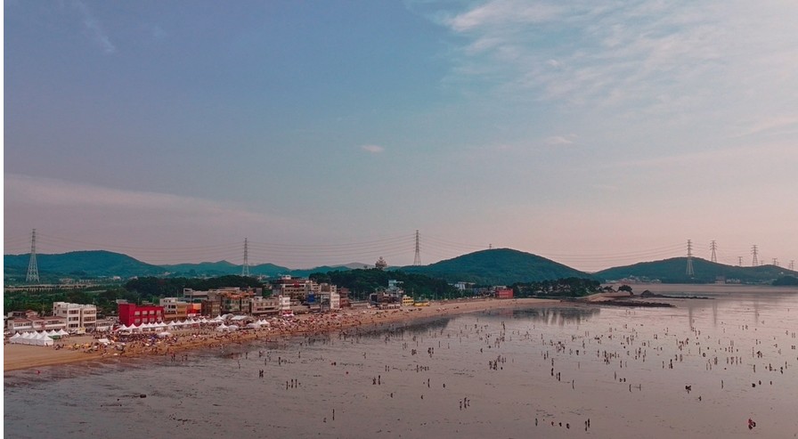 시흥 거북섬 드론쇼 행사 일정과 관람 꿀팁