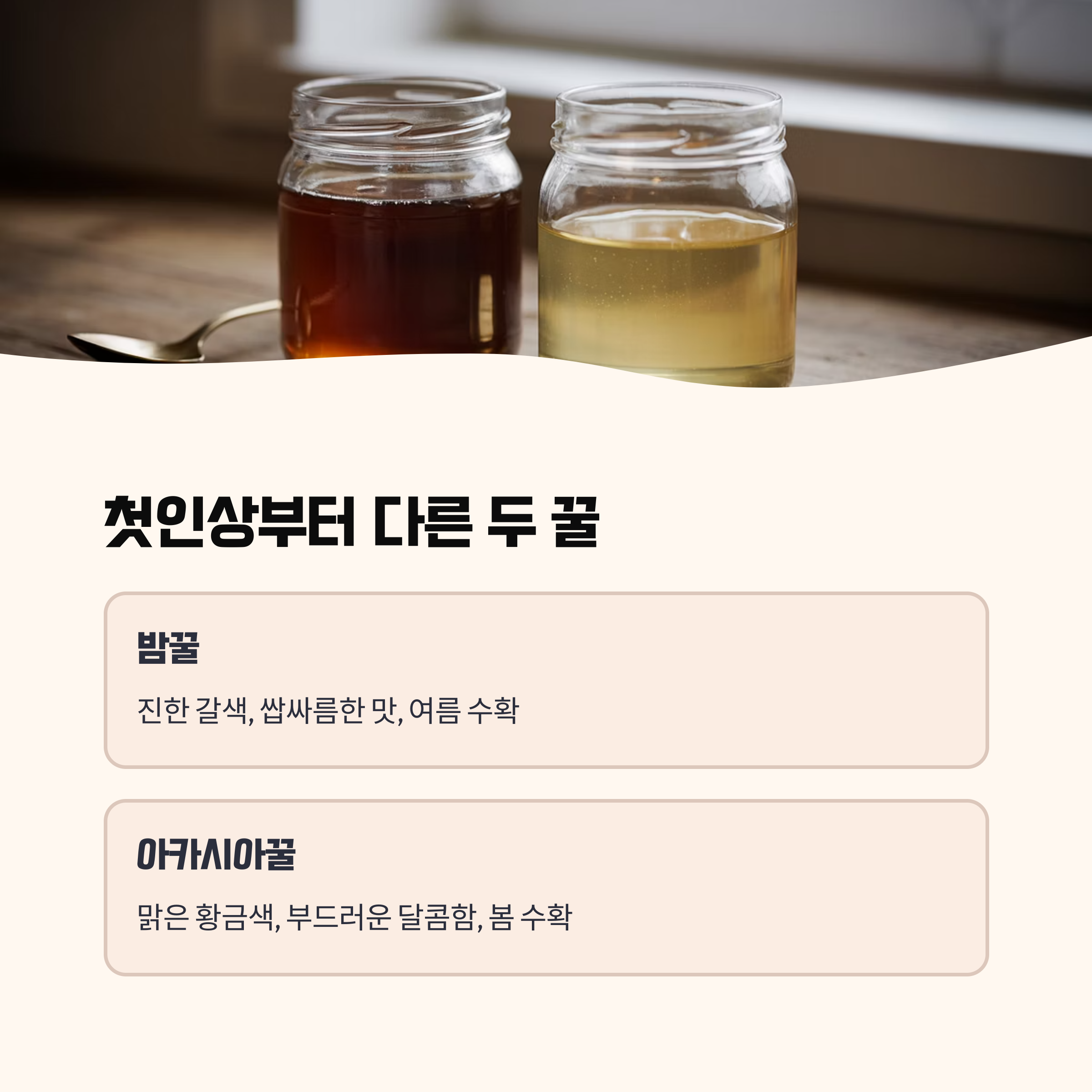 밤꿀 vs 아카시아꿀 원재료와 색상
