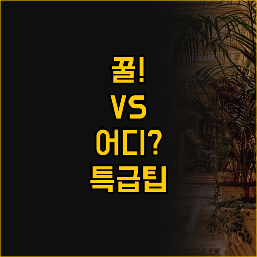 활기찬 목시 vs 품격 래디슨 카우나..