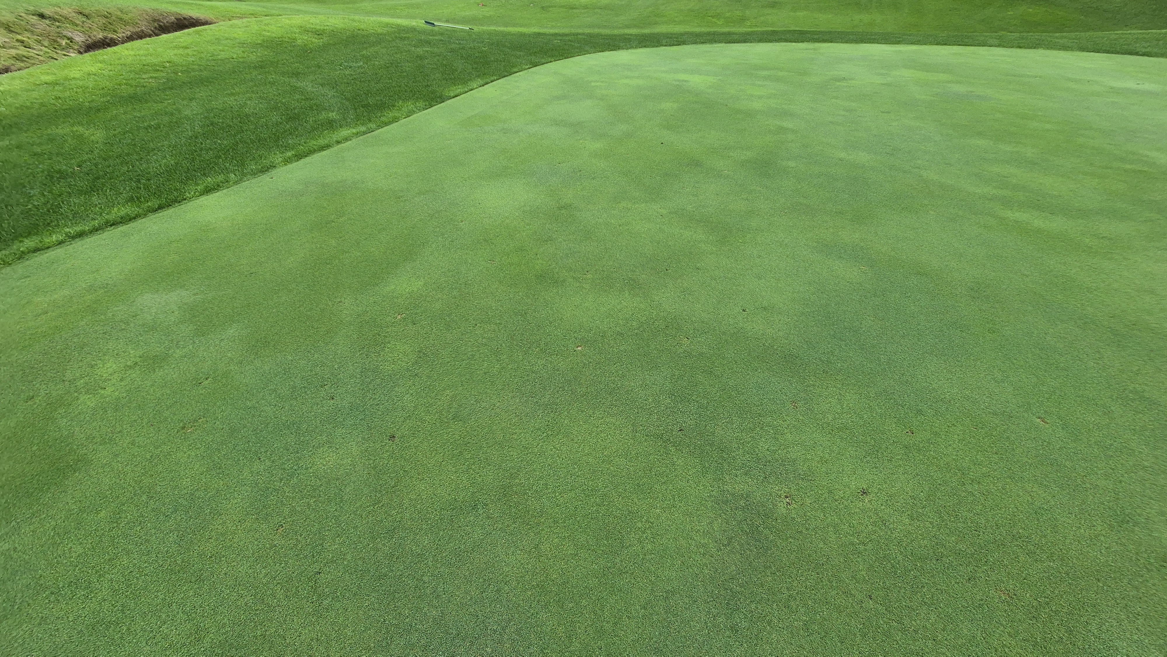 뉴서울cc 예술in-문화in 코스 라운드 후기