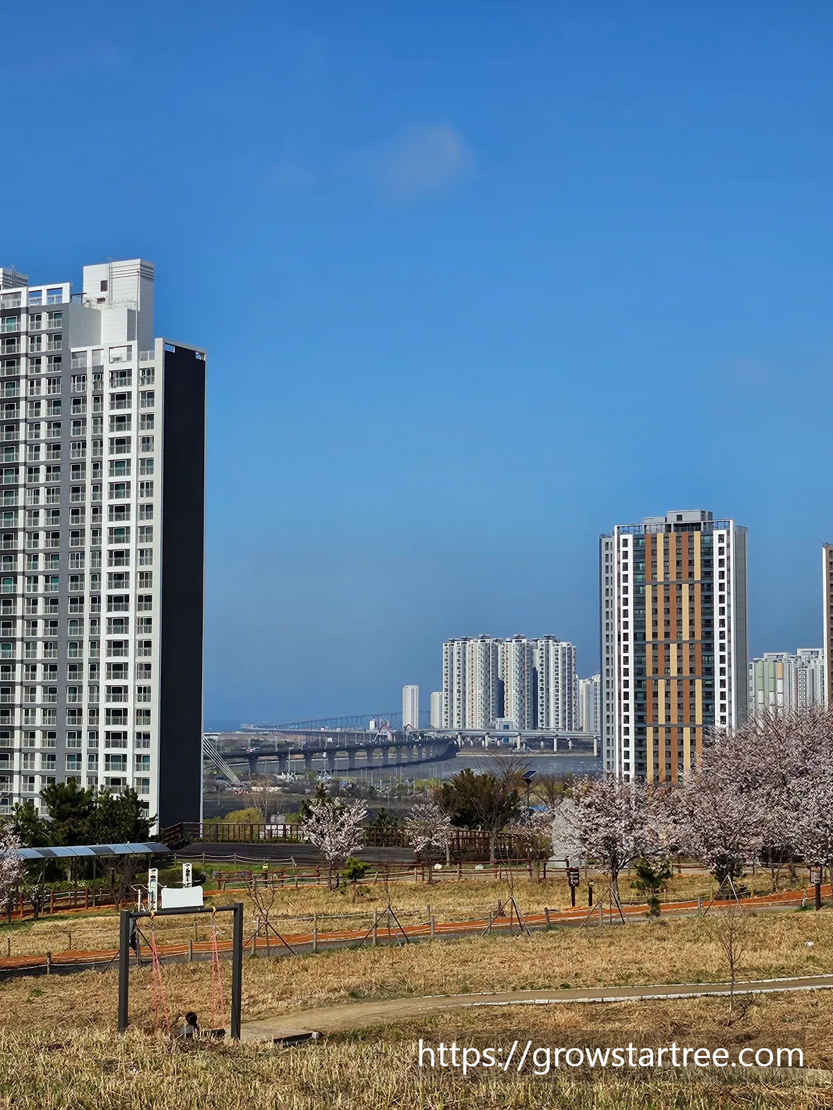 인천 연수구 봉재산 벚꽃