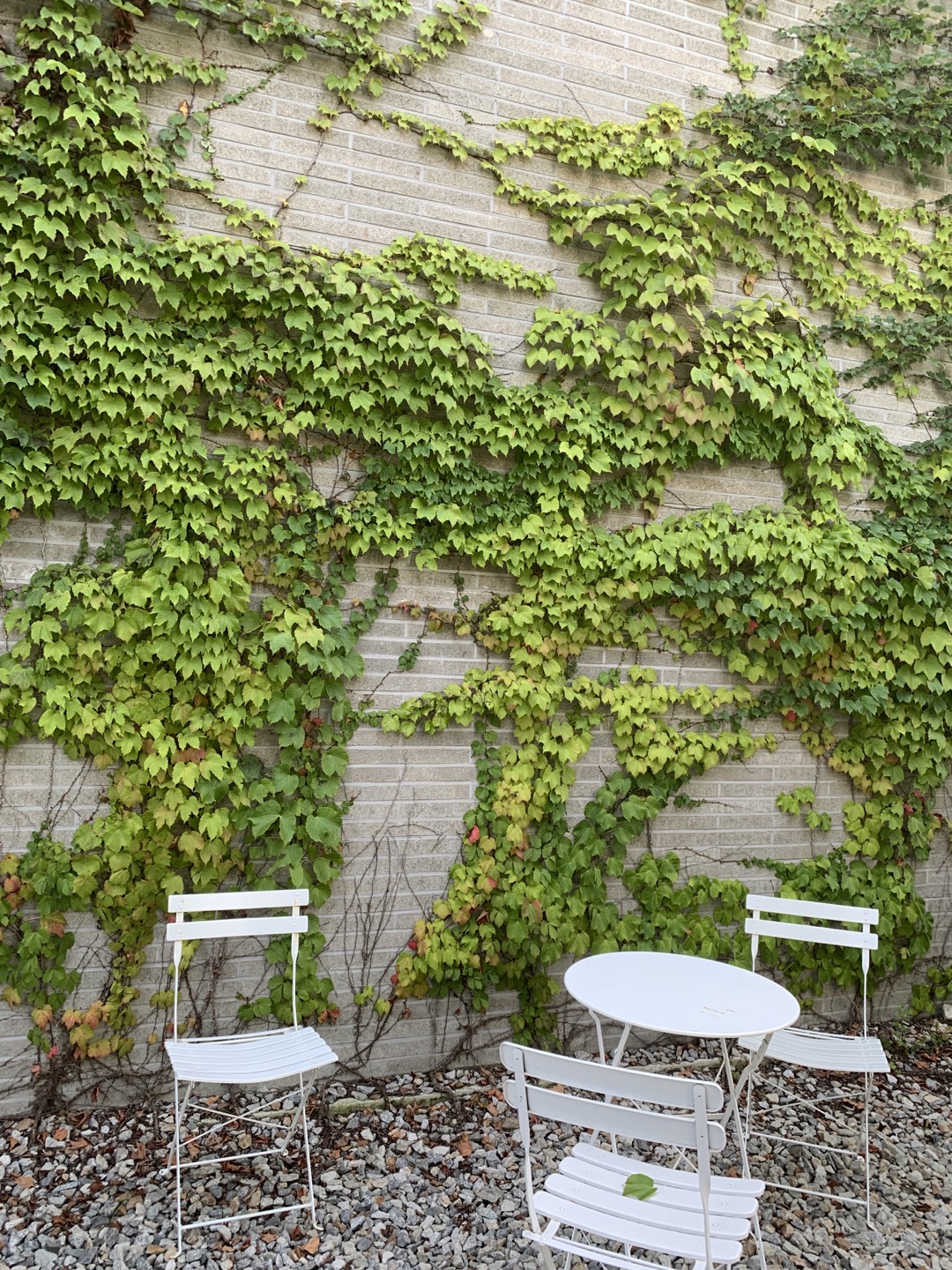 퍼블릭마켓 뒷편