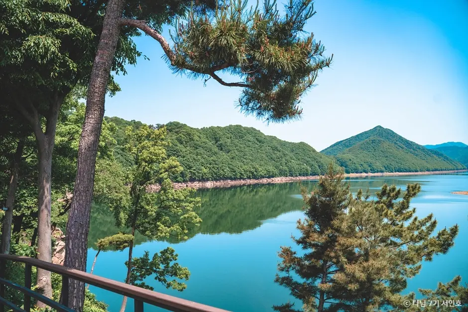 옥천 수생식물학습원