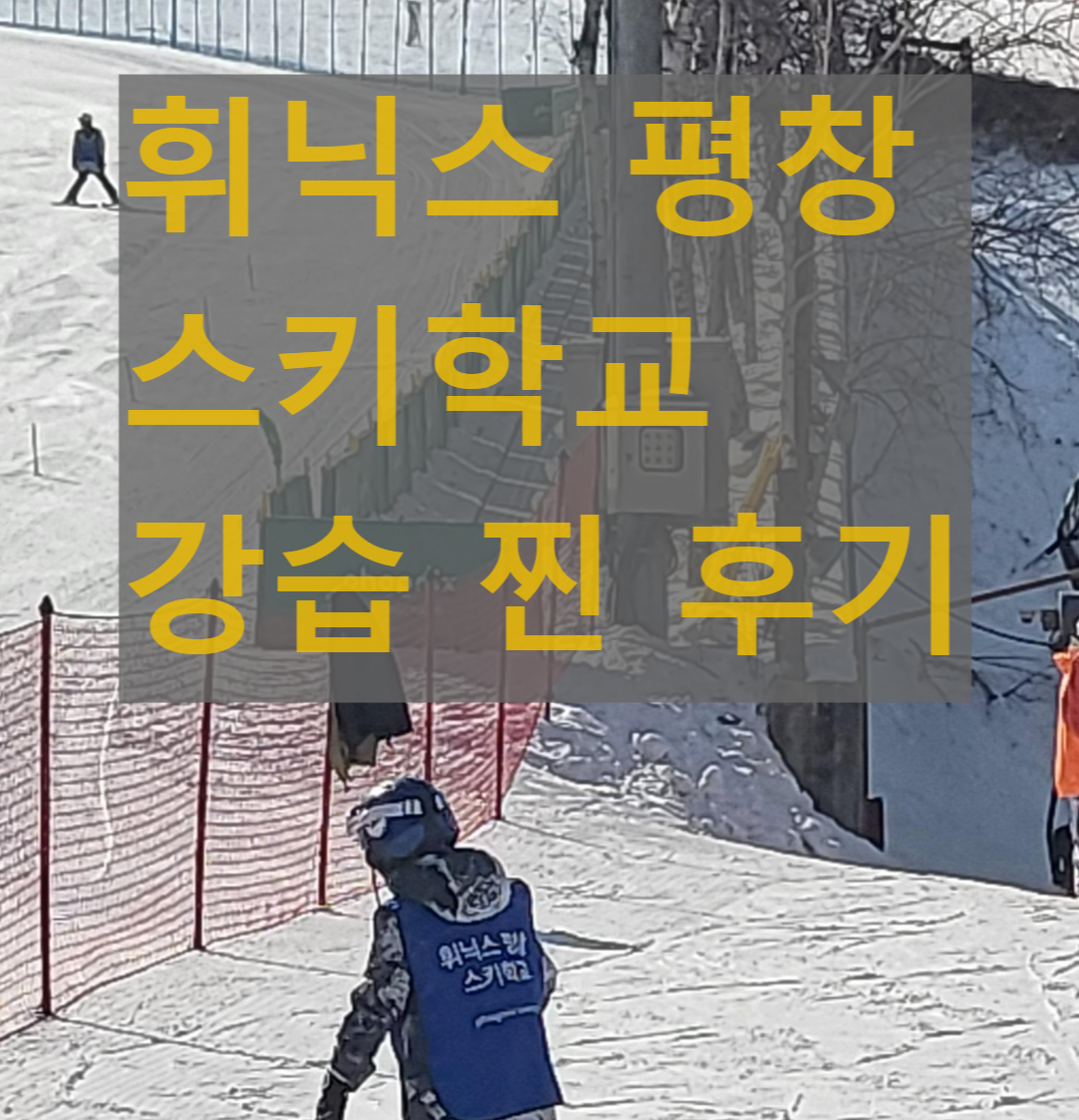 휘닉스평창 스키학교