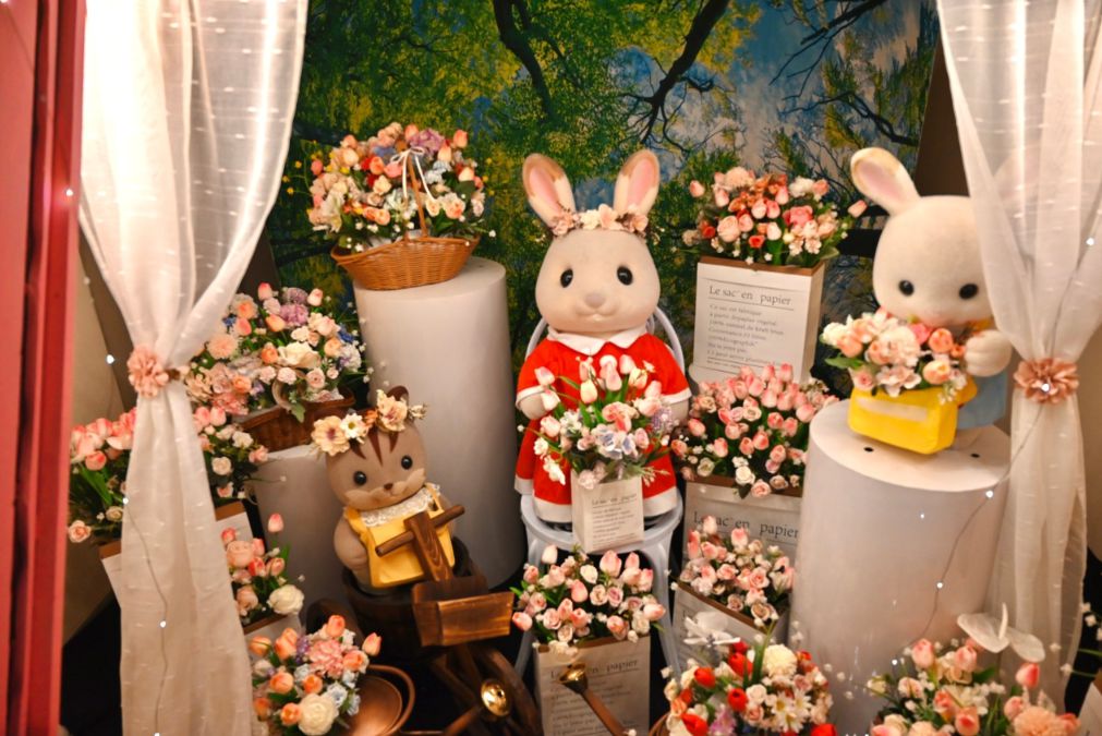 바니베어뮤지엄