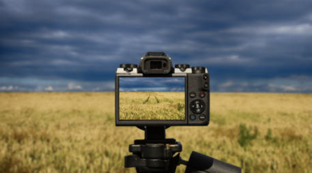 영화 속 환경 문제