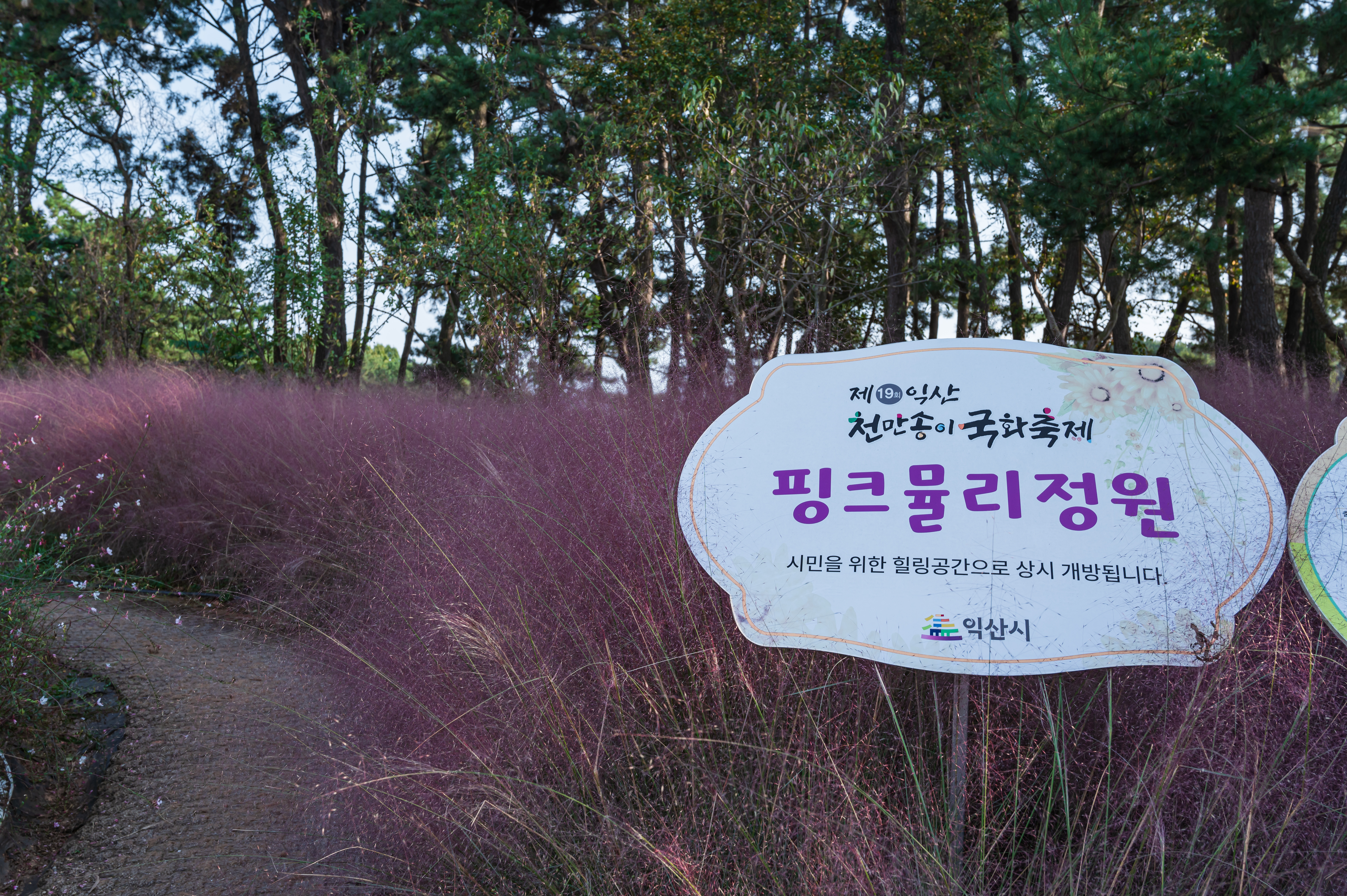 ์ ํฅ ๊ทผ๋ฆฐ ๊ณต์ ๋๋ ๊ธธ