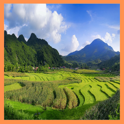 농어민공익수당 신청